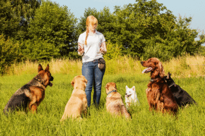 Professional Dog Trainers Program Level 1