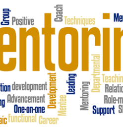 Additional Mentoring Appointment