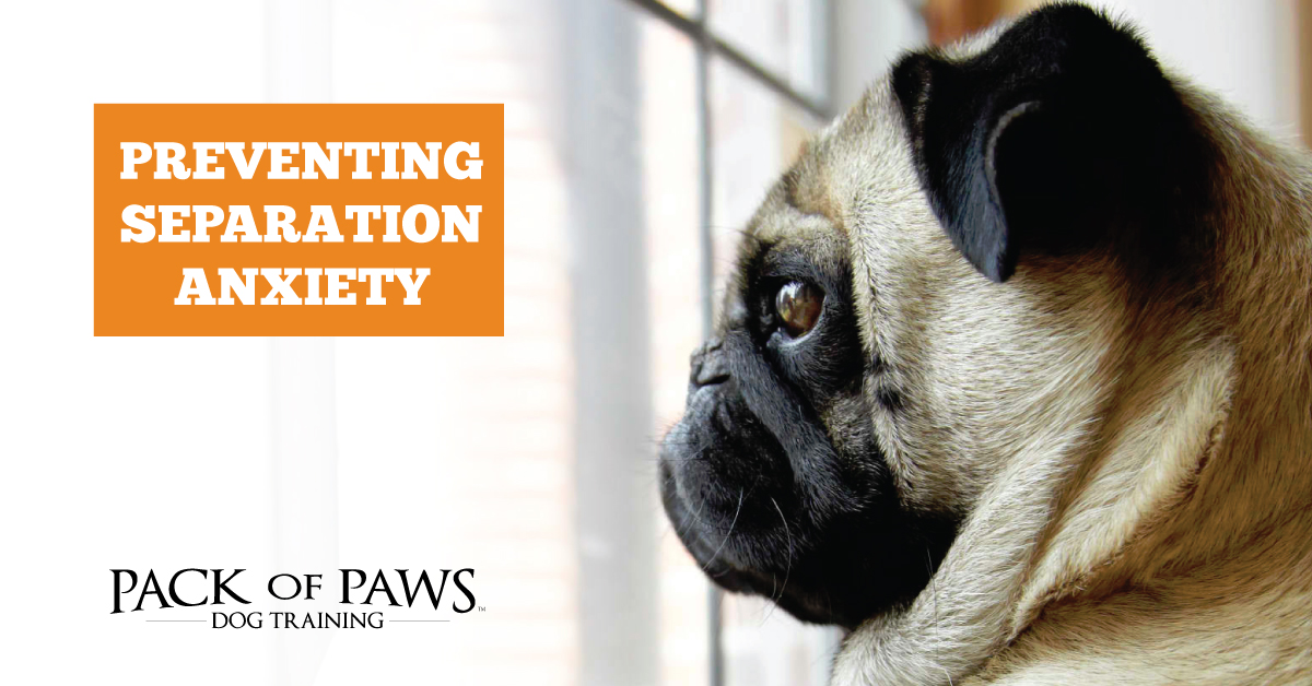 preventing separation anxiety