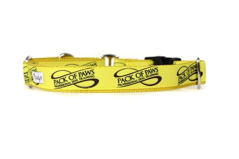 Pack of Paws Dog Collars and Leashes - Image 2