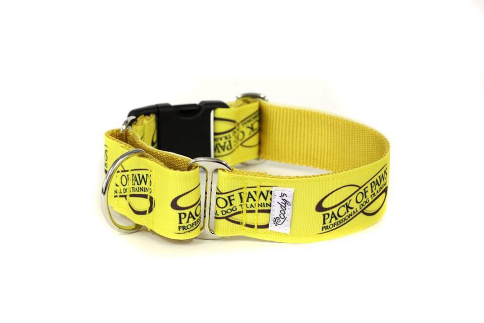 Pack of Paws Dog Collars and Leashes