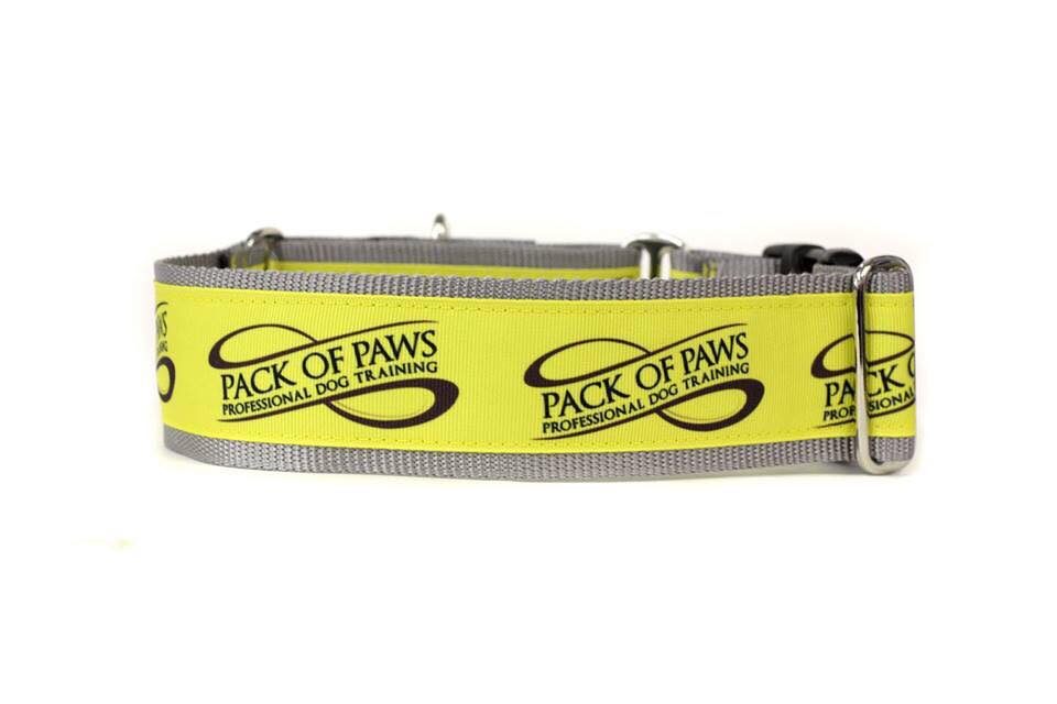 Pack of Paws Dog Collars and Leashes - Image 3