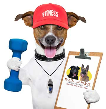 Canine Fitness Workshop