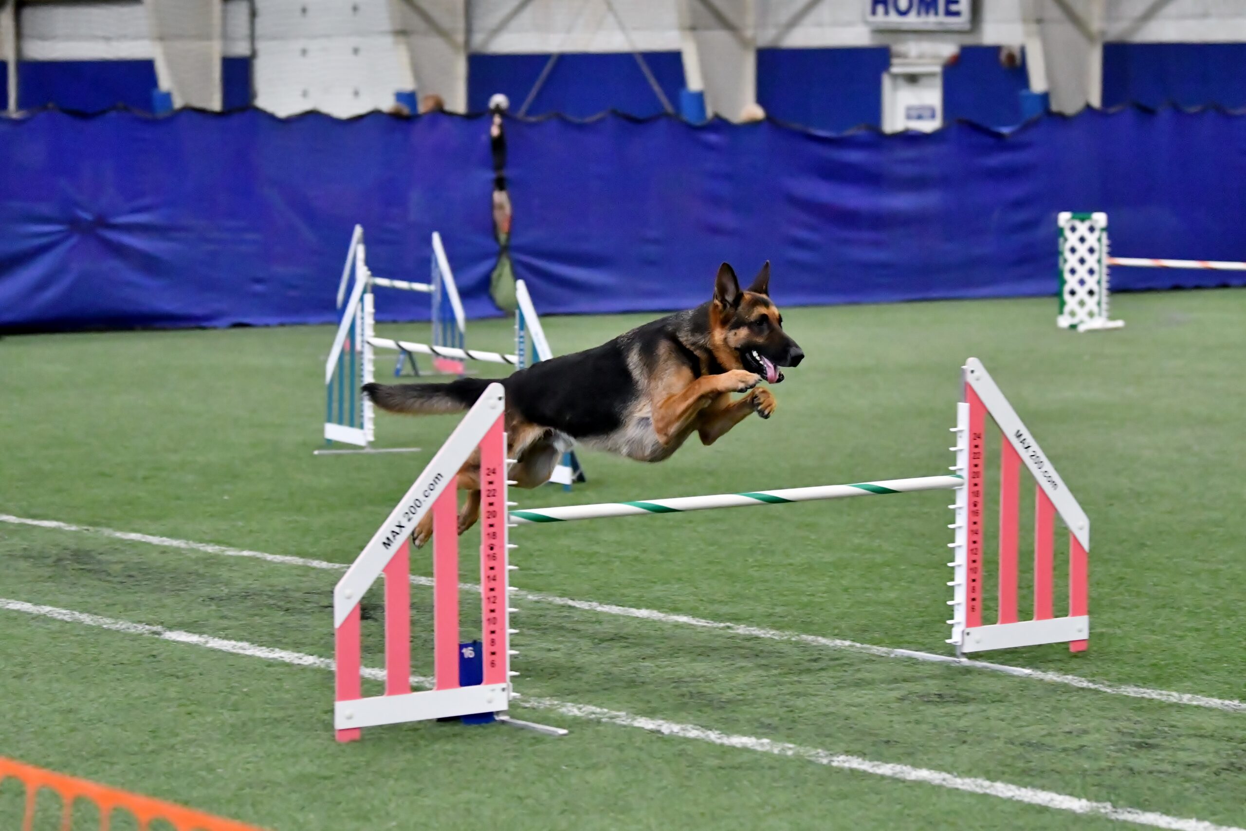 Agility - Level 1