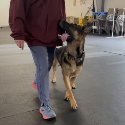 Foundation for Heeling Workshop