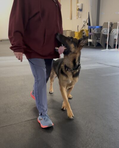 Foundation for Heeling Workshop
