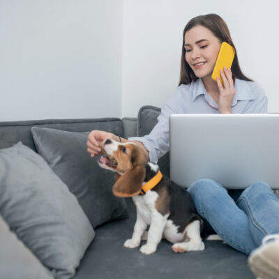 Tele-Help Dog Training Support