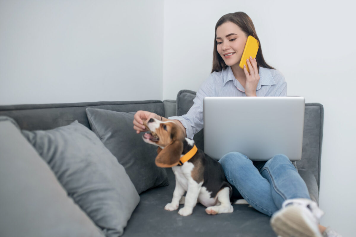 Tele-Help Dog Training Support